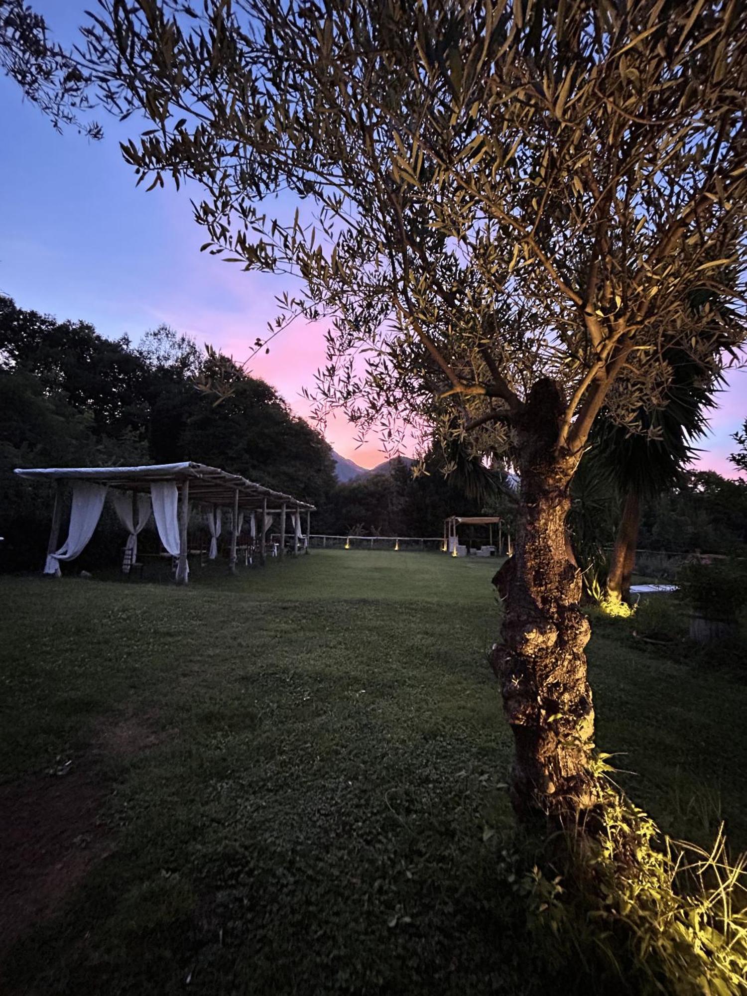 Agriturismo Colle Maiano Vietri 外观 照片